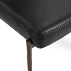 Kester Jet Black Dining Chair (Set of 2) - Ornate Home