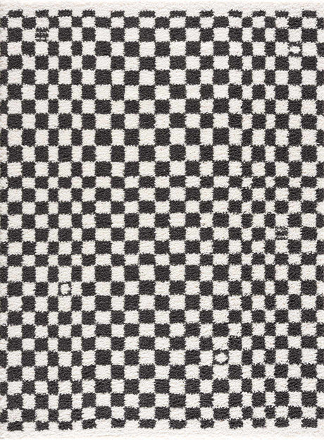 Kieu Black & White Checkered Area Rug - Ornate Home