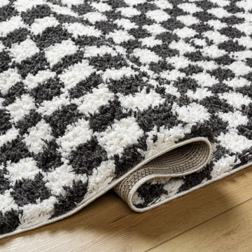 Kieu Black & White Checkered Shag Rug - Ornate Home