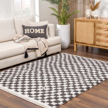 Kieu Black & White Checkered Shag Rug - Ornate Home