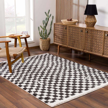 Kieu Black & White Checkered Shag Rug - Ornate Home