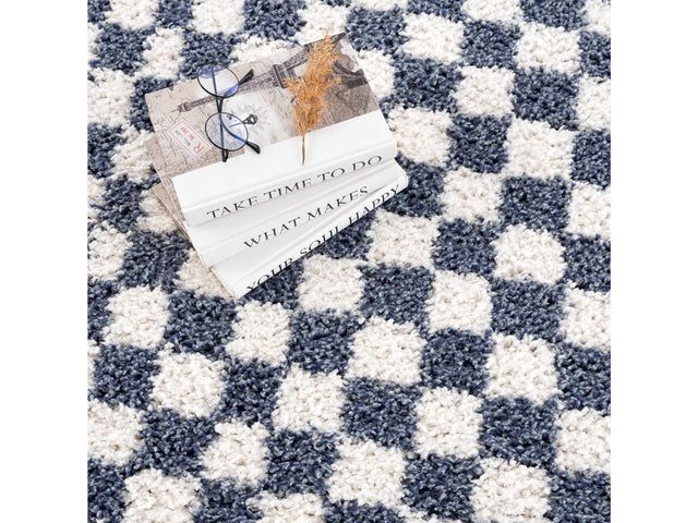 Kieu Blue & White Checkered Area Rug - Ornate Home