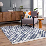 Kieu Blue & White Checkered Area Rug - Ornate Home