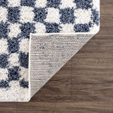Kieu Blue & White Checkered Area Rug - Ornate Home
