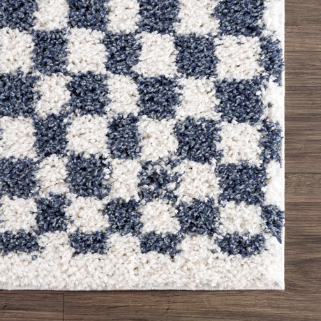 Kieu Blue & White Checkered Area Rug - Ornate Home