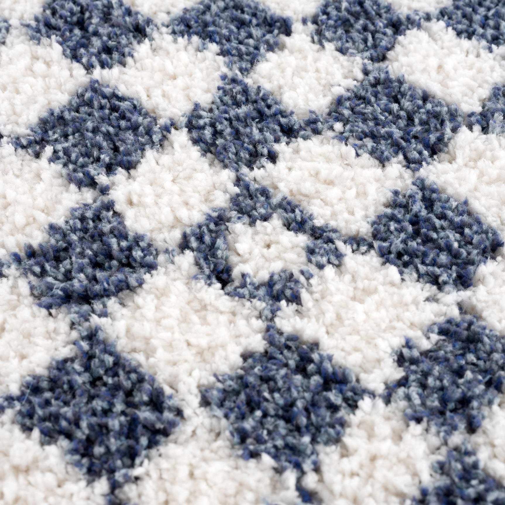Kieu Blue & White Checkered Area Rug - Ornate Home