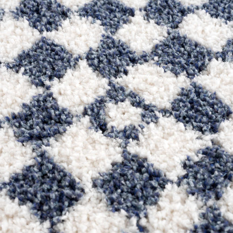 Kieu Blue & White Checkered Area Rug - Ornate Home