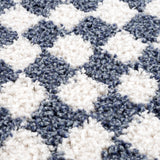 Kieu Blue & White Checkered Area Rug - Ornate Home