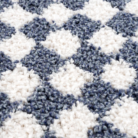 Kieu Blue & White Checkered Area Rug - Ornate Home
