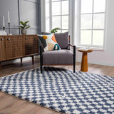 Kieu Blue & White Checkered Area Rug - Ornate Home