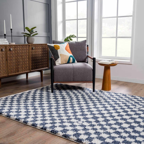 Kieu Blue & White Checkered Area Rug - Ornate Home