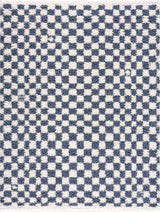 Kieu Blue & White Checkered Area Rug - Ornate Home