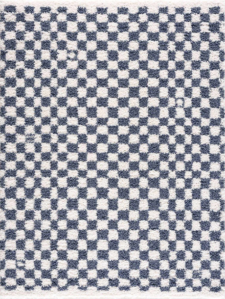 Kieu Blue & White Checkered Area Rug - Ornate Home