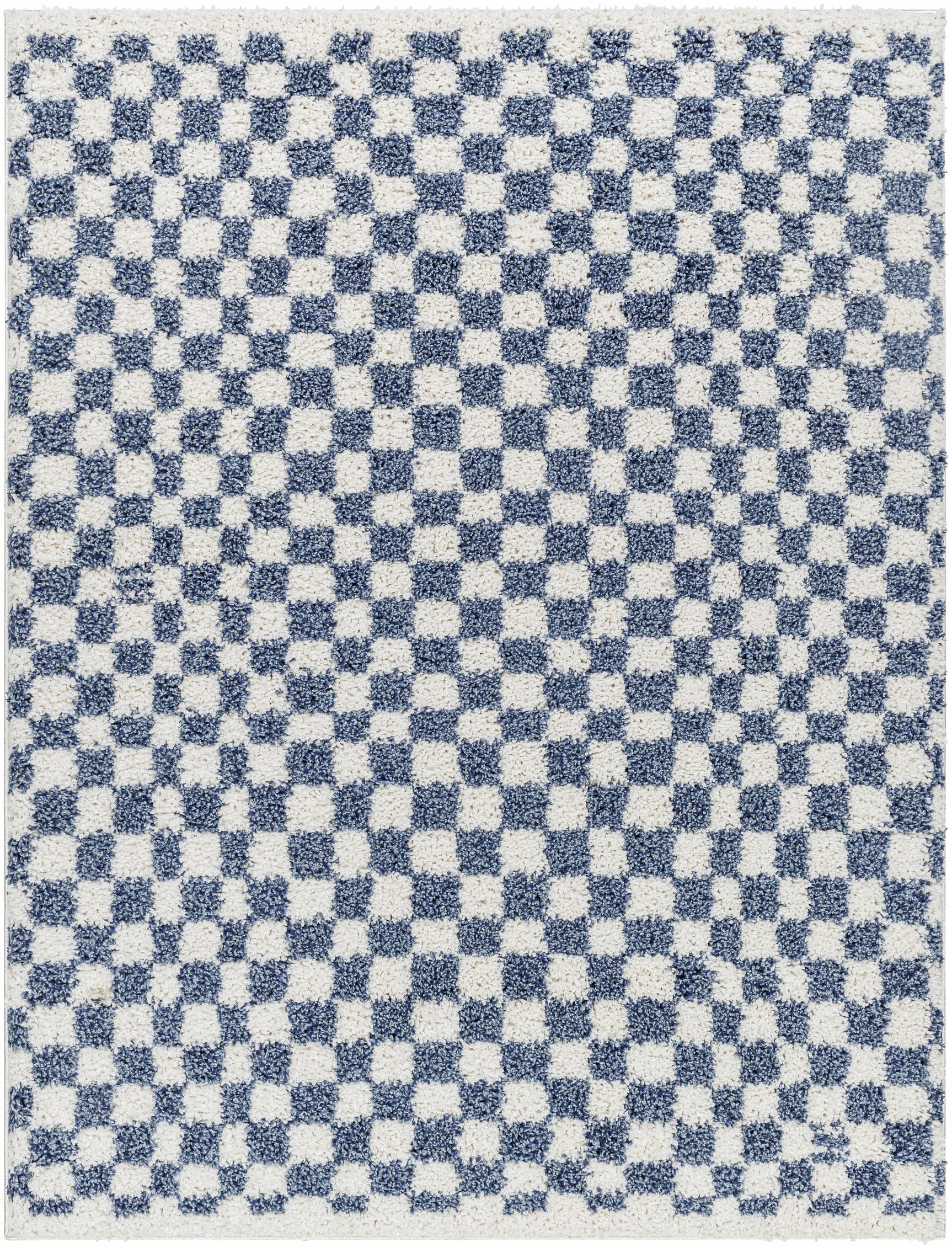 Kieu Blue & White Checkered Area Rug - Ornate Home
