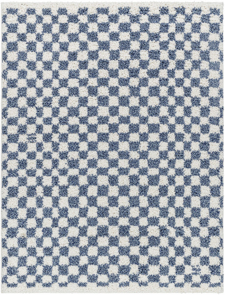 Kieu Blue & White Checkered Area Rug - Ornate Home