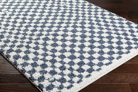 Kieu Blue & White Checkered Area Rug - Ornate Home