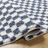 Kieu Blue & White Checkered Area Rug - Ornate Home