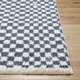 Kieu Blue & White Checkered Area Rug - Ornate Home