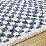Kieu Blue & White Checkered Area Rug - Ornate Home