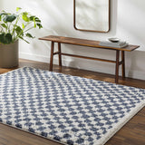 Kieu Blue & White Checkered Area Rug - Ornate Home