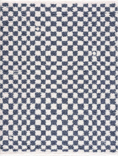 Kieu Blue & White Checkered Area Rug - Ornate Home
