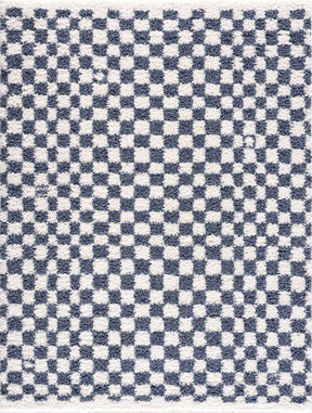 Kieu Blue & White Checkered Area Rug - Ornate Home