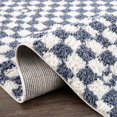 Kieu Blue & White Checkered Area Rug - Ornate Home