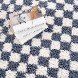 Kieu Blue & White Checkered Area Rug - Ornate Home