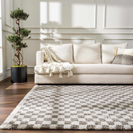 Kieu Taupe Checkered Area Rug - Ornate Home
