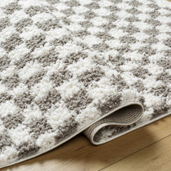 Kieu Taupe Checkered Plush Rug - Ornate Home