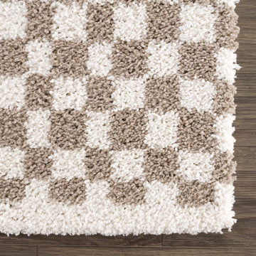 Kieu Taupe Checkered Shag Rug - Ornate Home