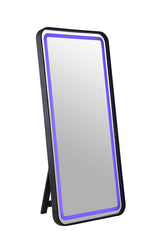 Kiley Black Floor Mirror - Ornate Home