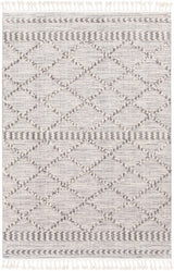 Kincheloe Textured 5x7 Carpet - Clearance - Ornate Home