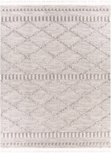 Kincheloe Textured 5x7 Carpet - Clearance - Ornate Home