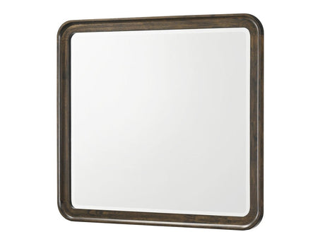 Kinkaid Brown Dresser Mirror - Ornate Home