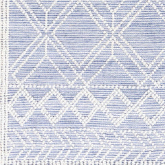 Kipp Blue Area Rug - Clearance - Ornate Home