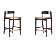Klismos Counter Stool in Camel and Dark Walnut (set of 2) - Ornate Home