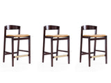 Klismos Counter Stool in Camel and Dark Walnut (set of 3) - Ornate Home
