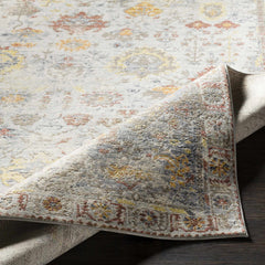Knottsville Area Rug - Clearance - Ornate Home