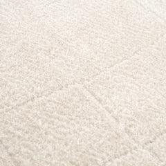 Koume Ivory Area Rug - Ornate Home