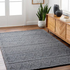 Kyung Dark Gray Area Rug - Clearance - Ornate Home