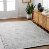 Kyung Gray Area Rug - Clearance - Ornate Home