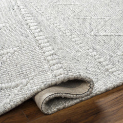 Kyung Gray Area Rug - Clearance - Ornate Home