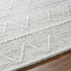 Kyung Gray Area Rug - Clearance - Ornate Home