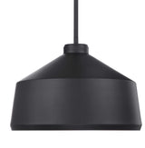 Holgate Black 1 Light Pendant