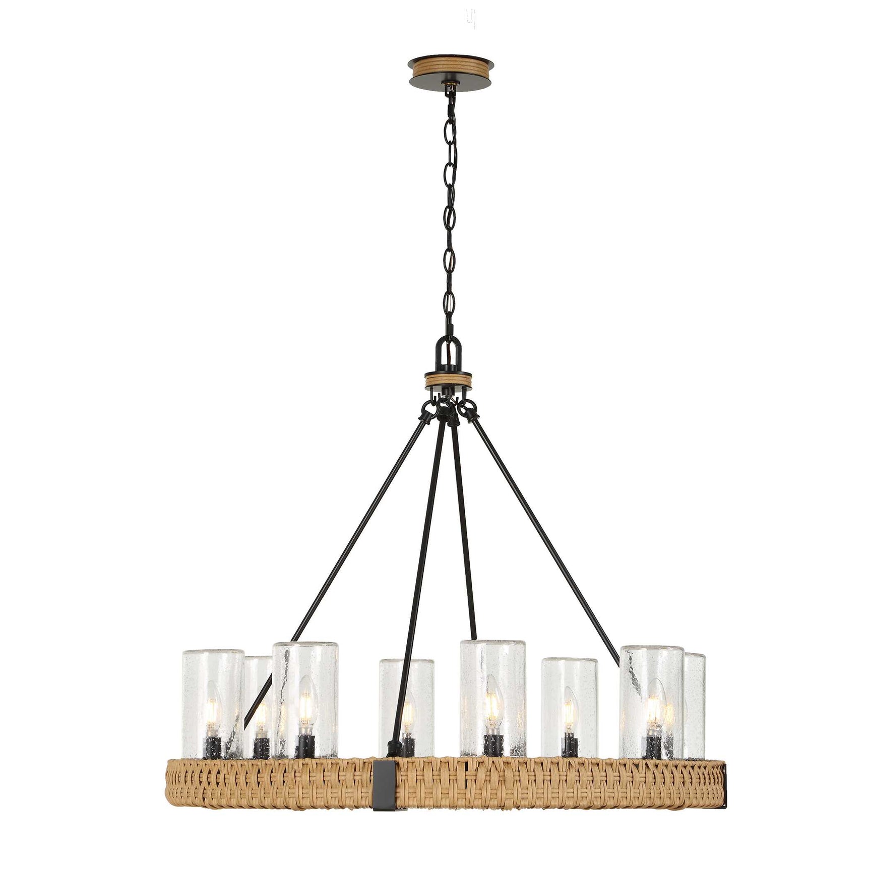 Palm Royal Black 8 Light Indoor-Outdoor Chandelier