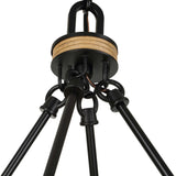 Palm Royal Black 8 Light Indoor-Outdoor Chandelier