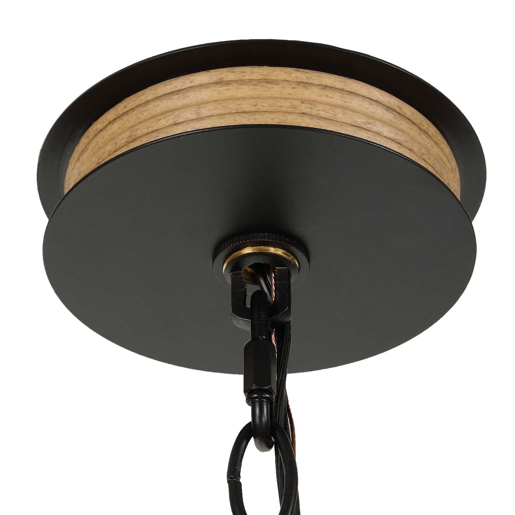 Palm Royal Black 8 Light Indoor-Outdoor Chandelier