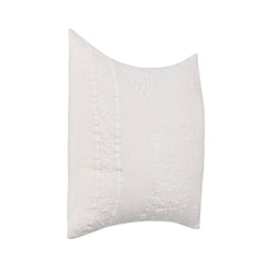LN Abbey Ivory 22x22 Throw Pillow (Set of 2) - Ornate Home