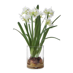 Lacey Daffodil White Accent Arrangement - Ornate Home